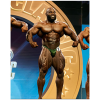 CJ's Elite OLIVE GREEN MIST bodybuilding posing pants