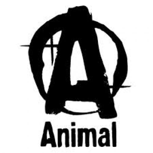 Animal logo