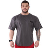 T-shirt oversize en coton Big Sam 2642